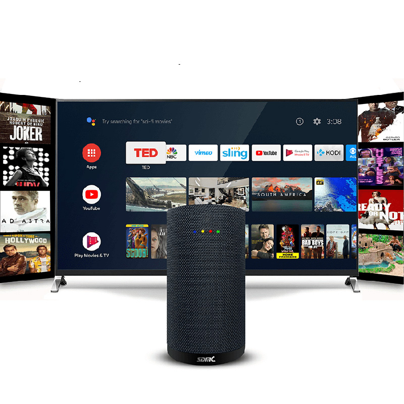 Ontmoet de volgende generatie Android TV Slimme Spreker met digitale tv-ontvanger